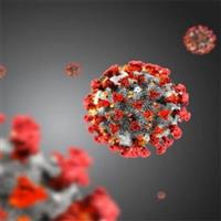 اولین علائم و راه تشخیص ویروس کرونا در بدن